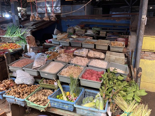 IMG_1015 IMG_1015